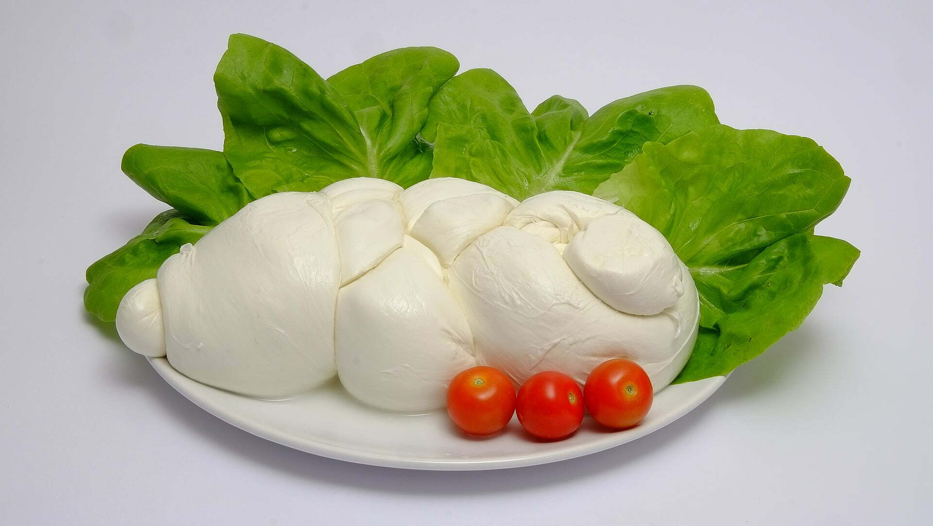 Buffalo mozzarella in a plate