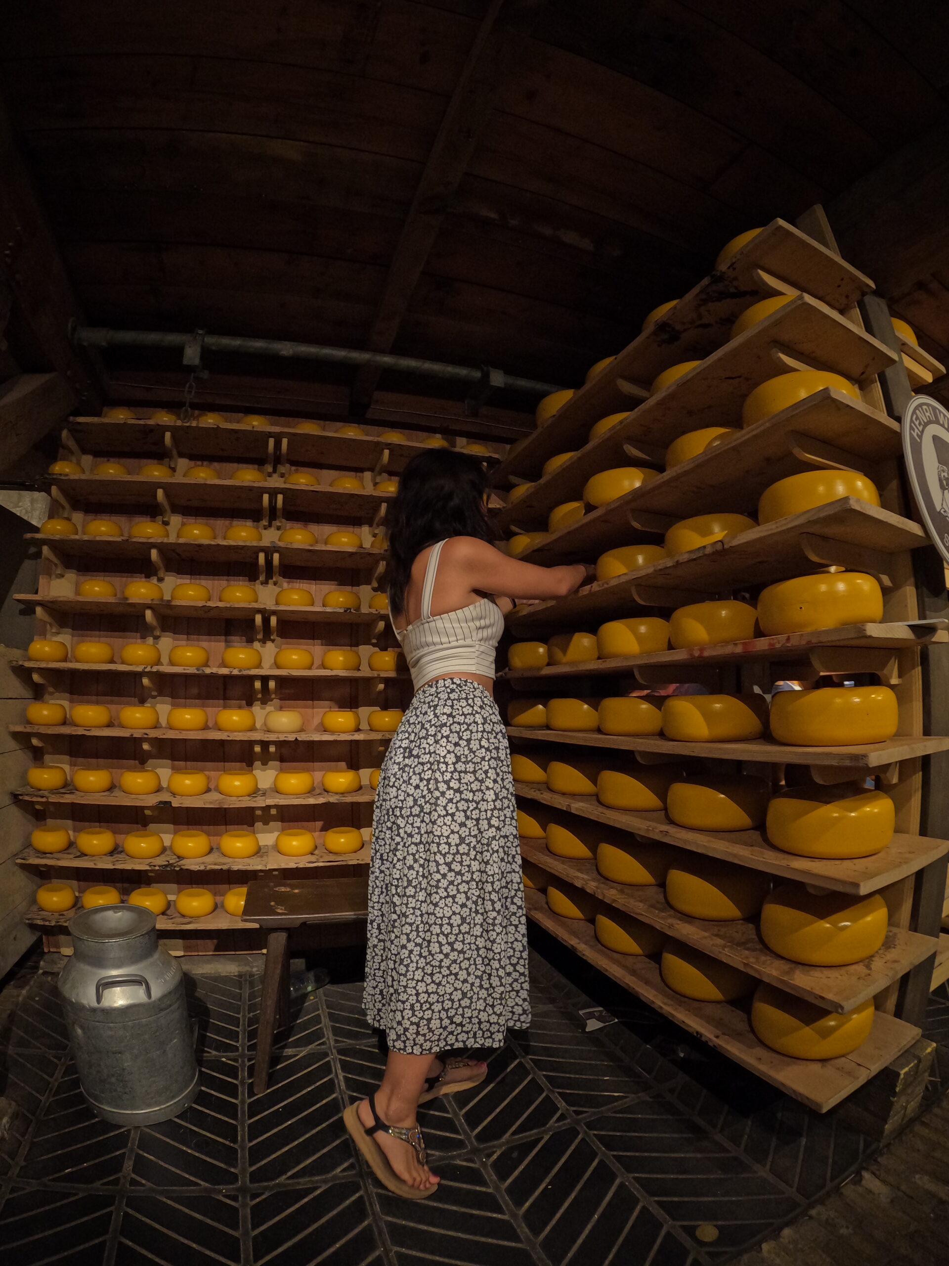 Cheese farm in Zaanse Schans