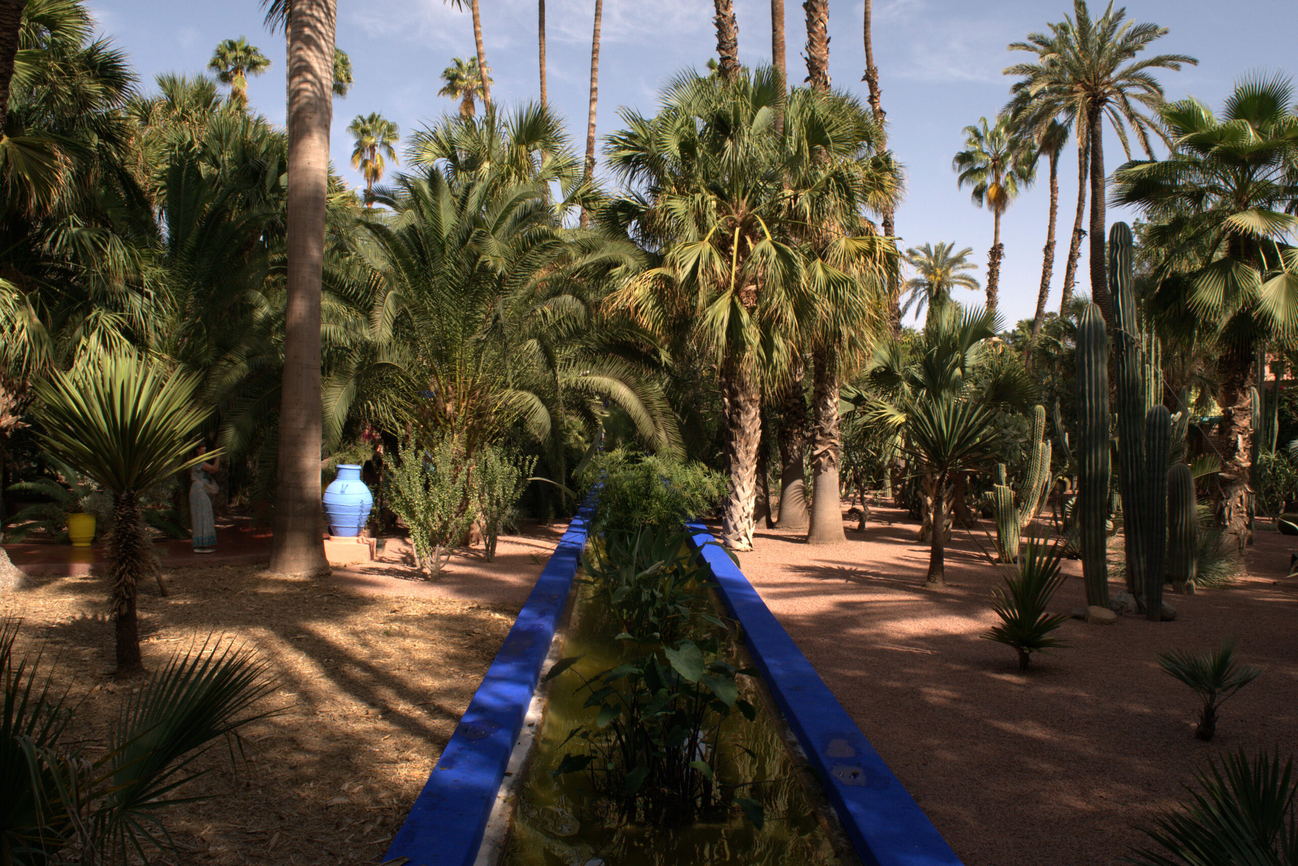 To do in Marrakech: Jardin Majorelle